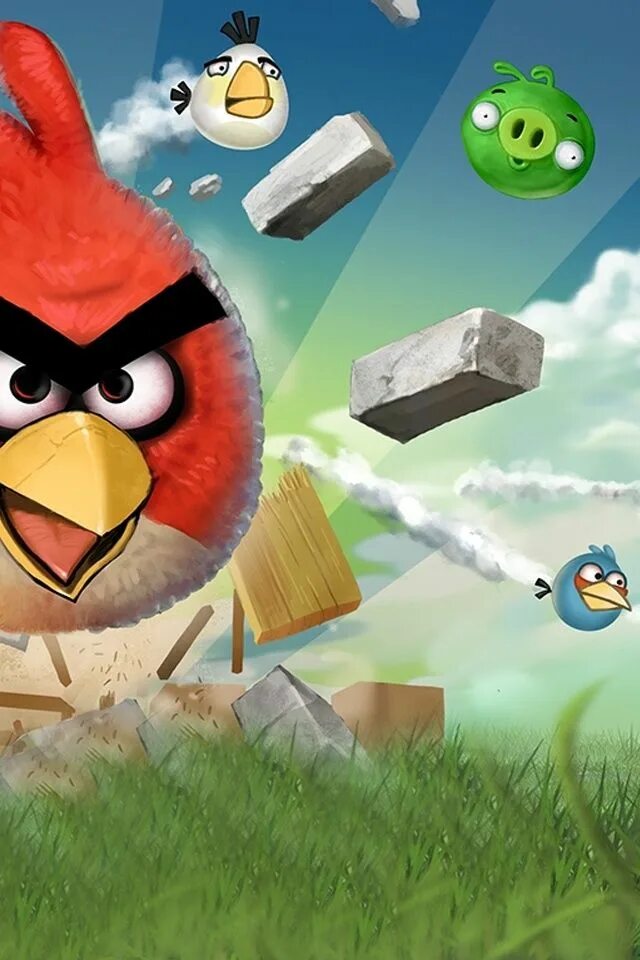 Angry birds 1 версия. Энгри бердз 3 игра. Энгри бердз злые птички. Игра Энгри бердз птицы. Энгри бердз 2009.
