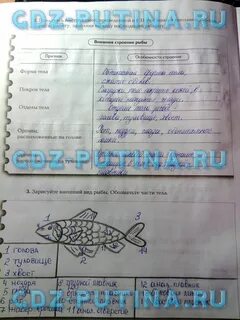 Биология 7 класс суматохин кучменко