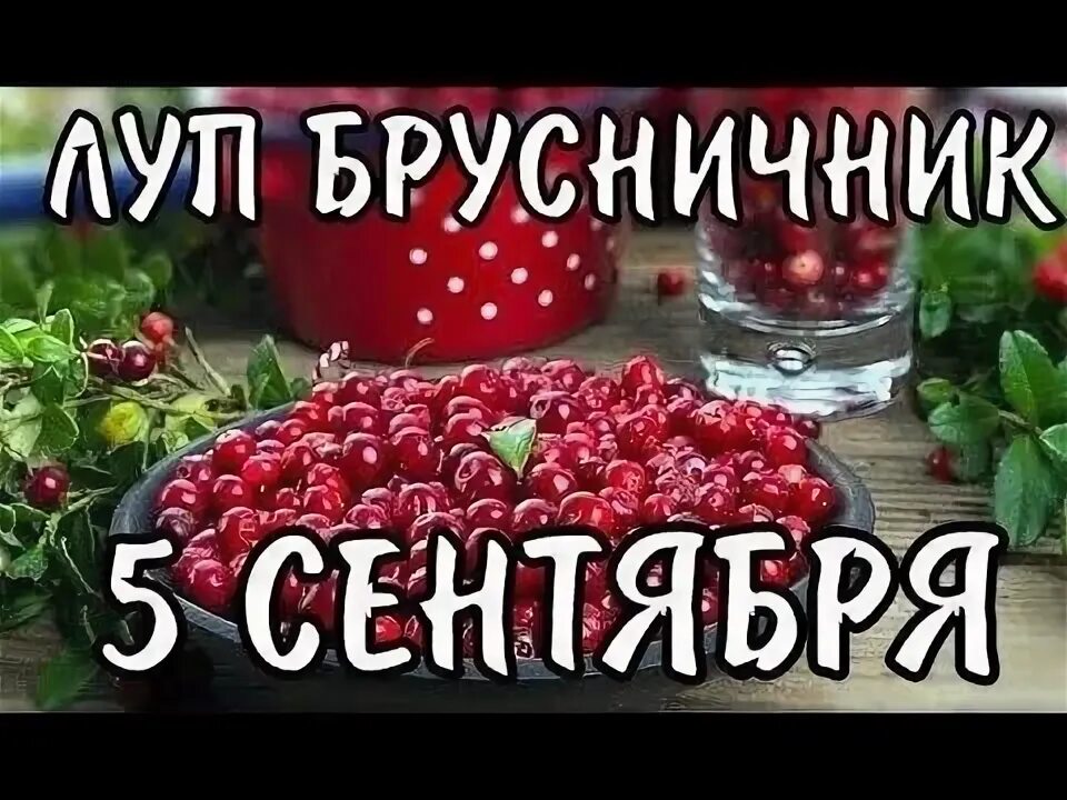 5 сентября приметы и поверья. Луп брусничник 5 сентября. луппа брусничник. луп брусничник 5 сентября народный календарь. луп брусничник (лупенские морозы).
