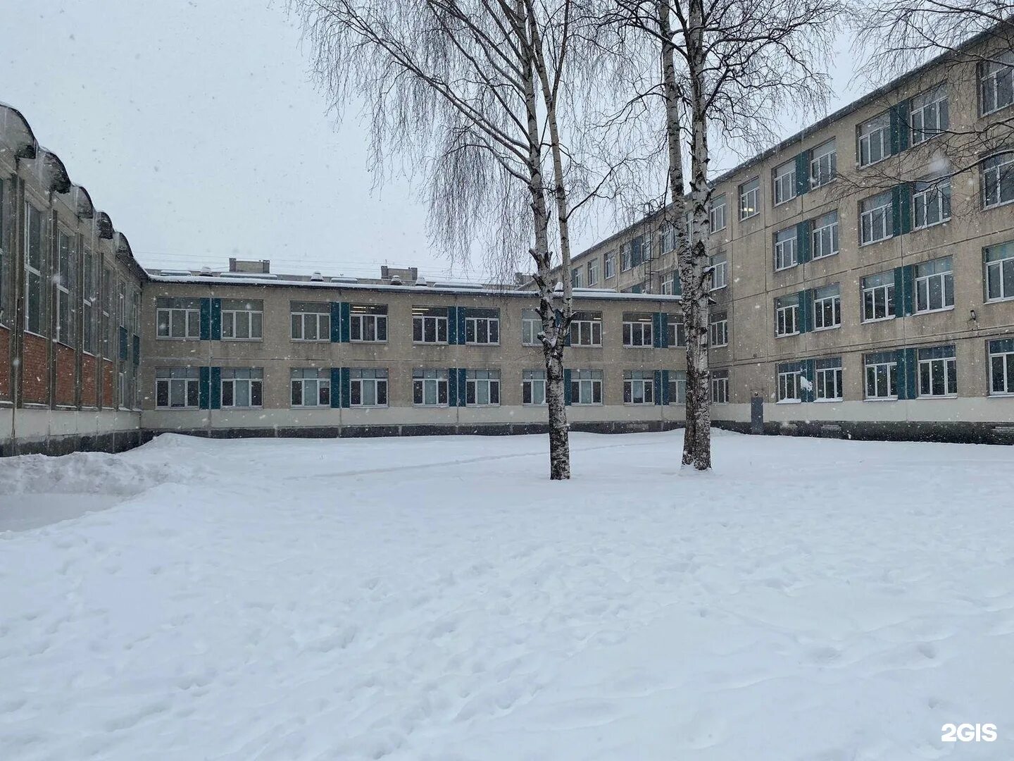 Школа 301 сузун. 301 школа фрунзенского района. 301 школа фрунзенского района туалеты. Средняя школа 301 спб фрунзенский. Школа 301 петербург.