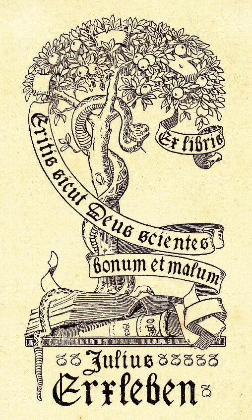 Bonum et malum. Eritis. Bonum et malum. Отто ван веен картины. Lathspell torn cold void.