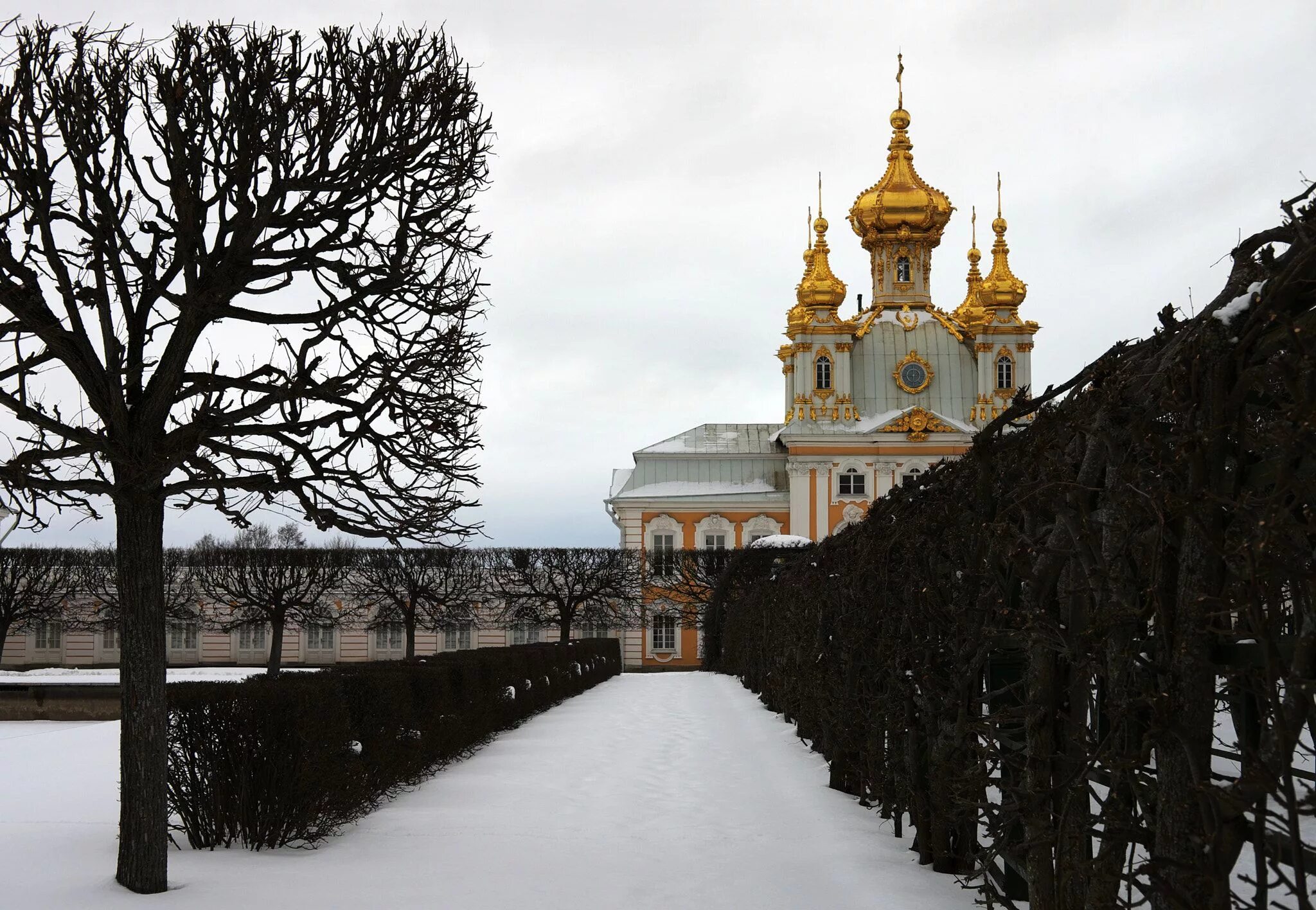 Зимний петергоф. Петергоф парк зима. нижний парк петергоф зимой. дворцово-парковый ансамбль петергоф зимой. музей-заповедник «петергоф» pbvjq.
