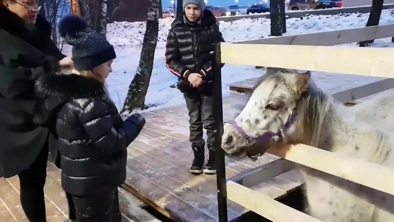 Внуково контактный зоопарк. Аутлет внуково зоопарк. контактный зоопарк внуково аутлет. аутлет новая рига зоопарк контактный. аутлет внуково зоопарк режим.