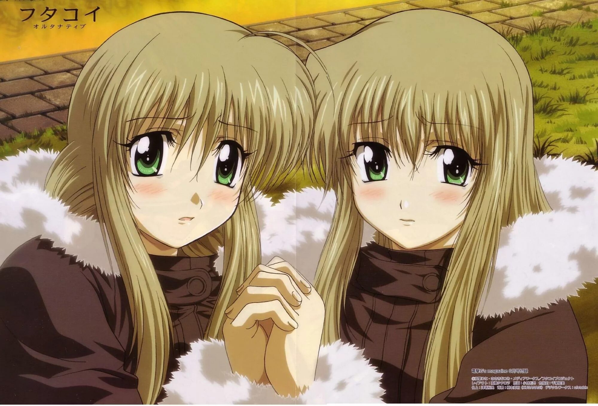 Twins animation