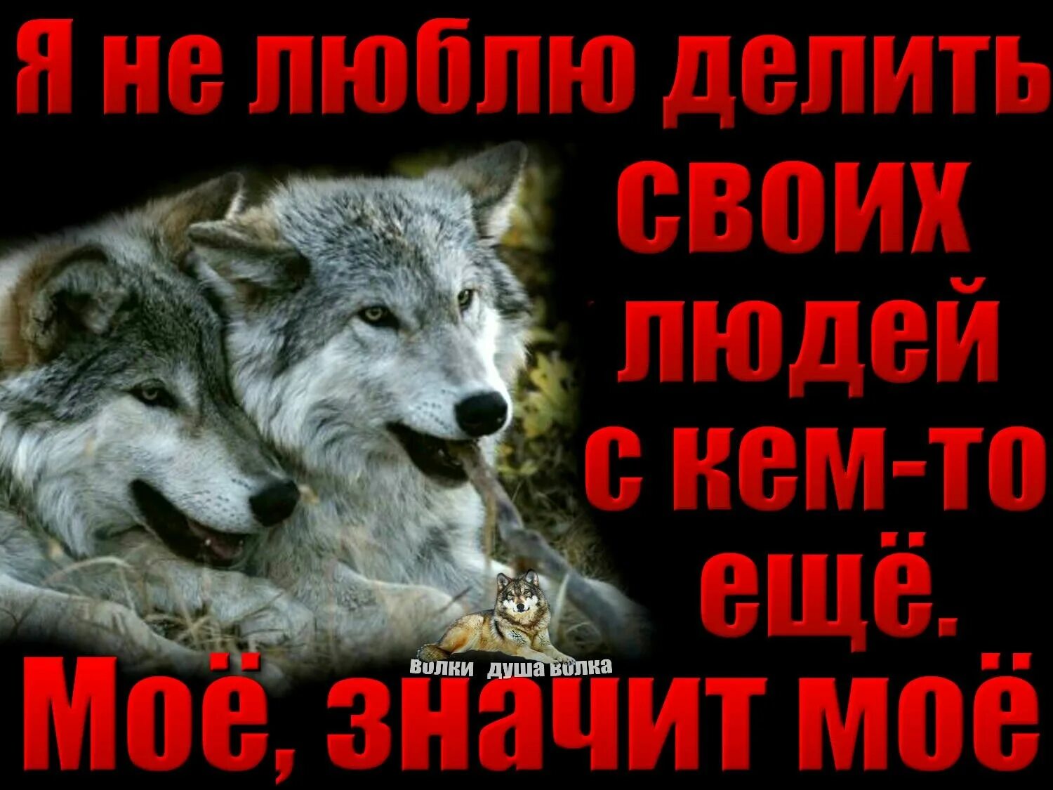 Душа волка песня. Душа волка. Волки душа волка. Группа душа волка. Гр.волка душа волка.