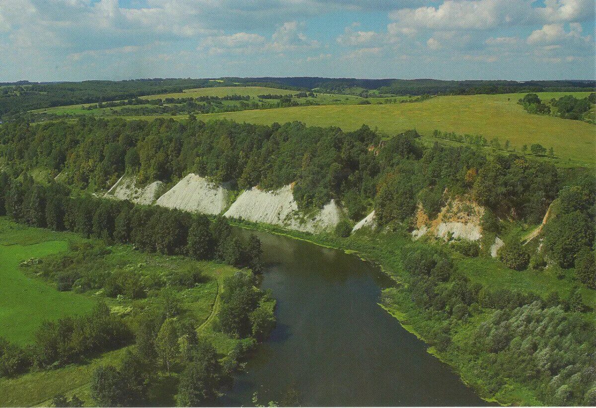 Курская область страна. Карыжский лес Курская область. Карыжский лес Глушковский район. Река Сейм Карыж. Река Сейм Курская область.