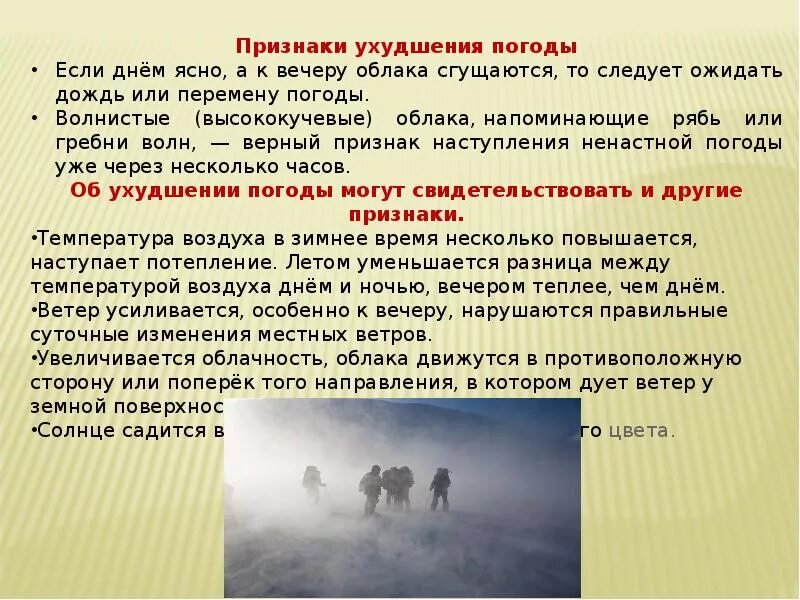 Поведение при встрече с диким животным. Безопасность при встрече с дикими животными. обеспечение безопасности при встрече с дикими животными. доклад о встрече с дикими животными. встреча с дикими животными обж.