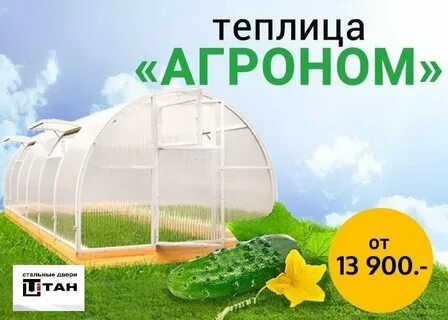 Теплица из поликарбоната великий новгород