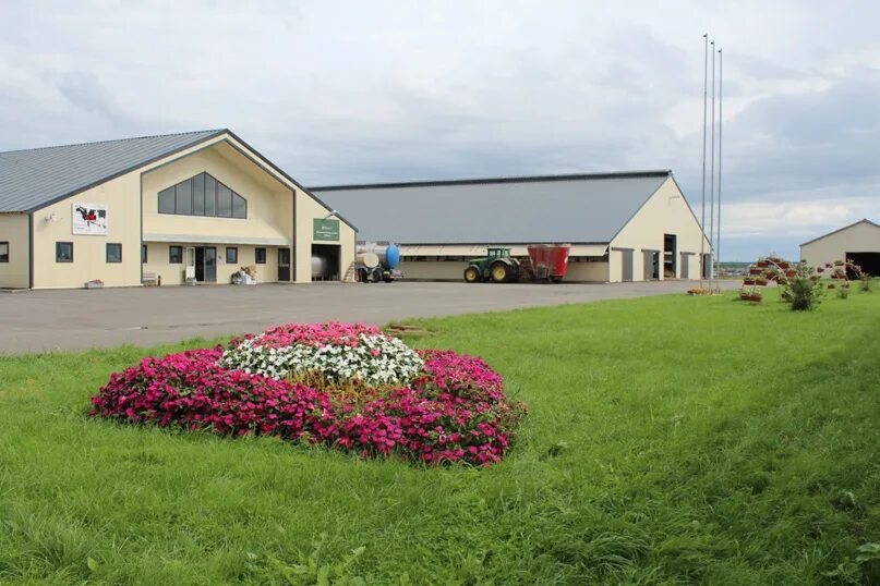 Совхоз любань. Совхоз любань тосненский район. Совхоз любань тосненский район. Совхоз любань. Совхоз любань тосненский район.