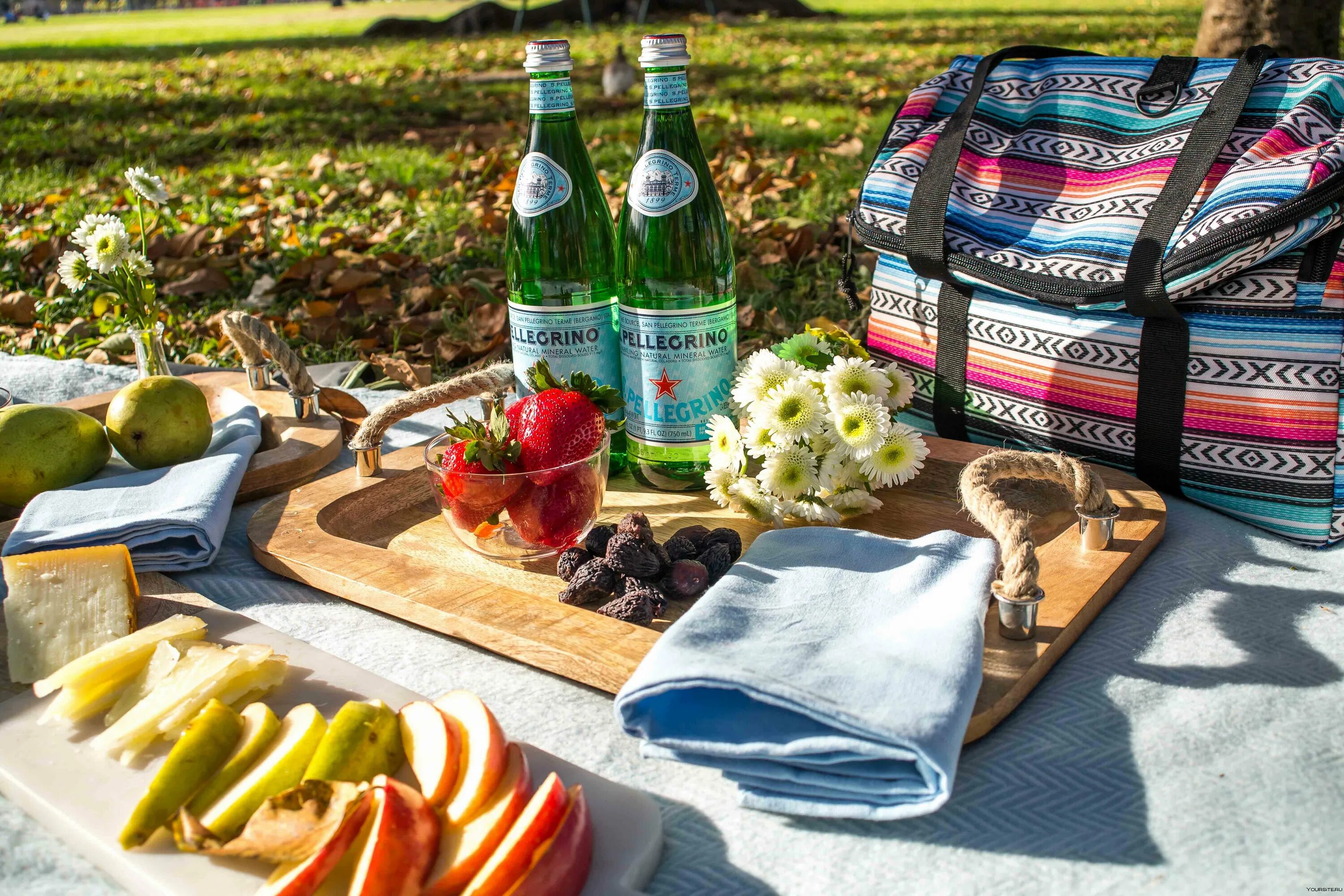 Стол на природе. Обед на природе. Что взять на пикник из еды. Пикник с фруктами. Продукты на пикник.