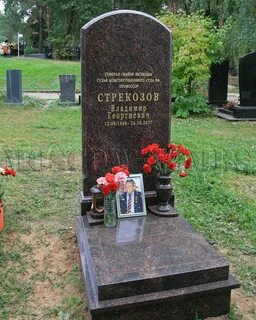 Стрекозов