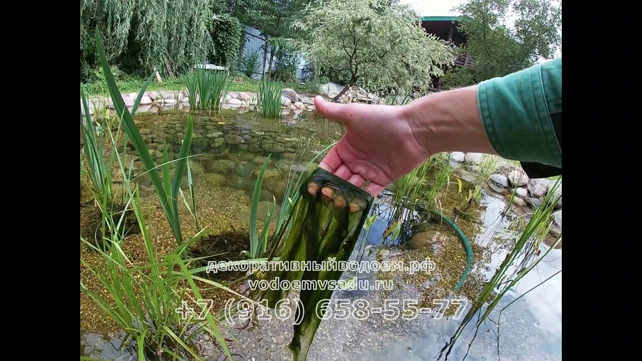 Как избавиться от водорослей в пруду. Очистка водоема от водорослей. грабли для очистки пруда. грабли для очистки пруда от водорослей. средство от водорослей в пруду.