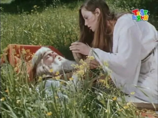 Сказание о храбром витязе фэт фрумосе. Гора самоцветов базилик фэт фрумос. фэт фрумос и царская дочь. фэт фрумос гора самоцветов. базилик фэт фрумос мультфильм.