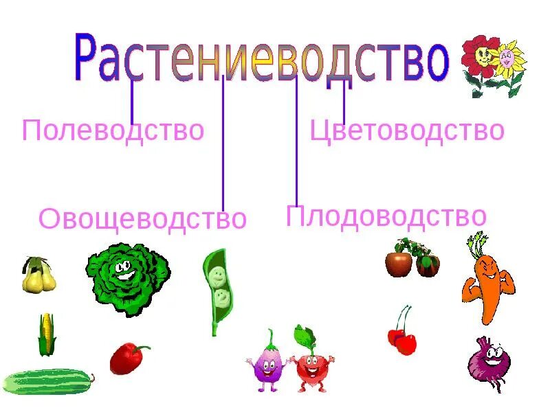 Проект растениеводство 4 класс окружающий мир. Растениеводство в нашем крае. растениеводство в нашем крае 4 класс. плодоводство презентация 4 класс. презентация на тему овощеводство 4 класс.