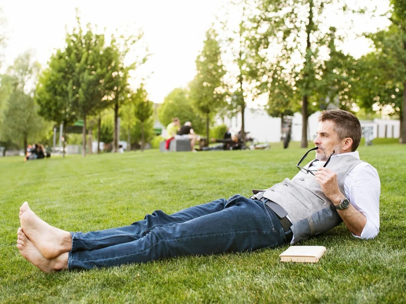 Успешный человек. Близкий ракурс миллионер думает. Lying in the Park Listening to Swans. Middle aged man thinking.