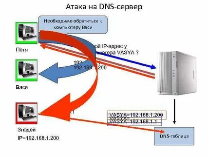 Dns 200