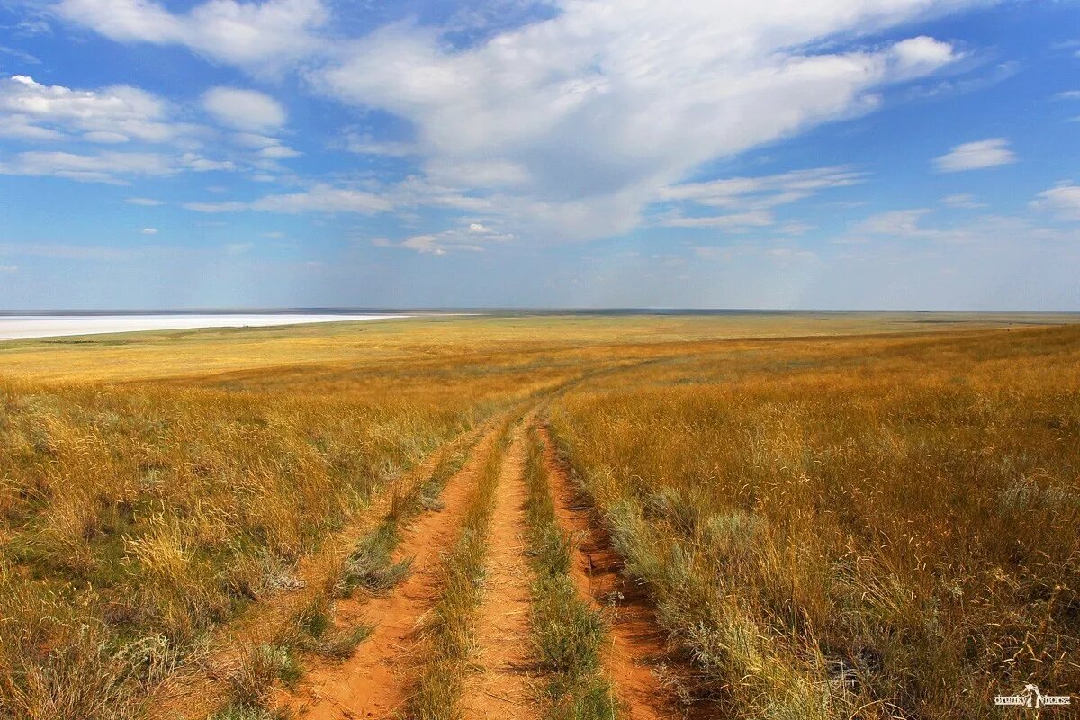 В жаркой степи было два. Астраханская степь. степи баскунчак. астраханская область природа степь.