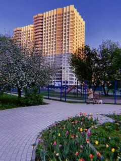 Квартиры верхние поля