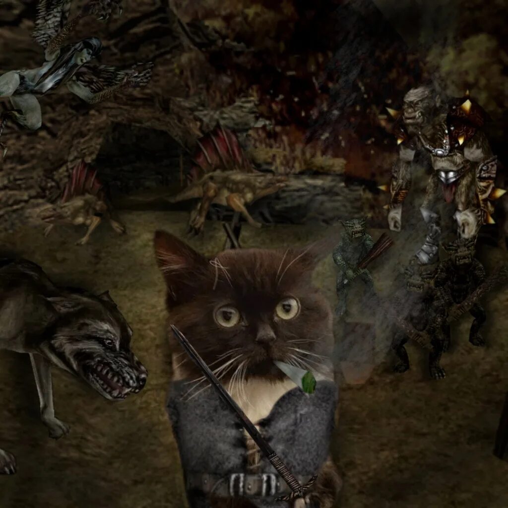 Мем коты игры