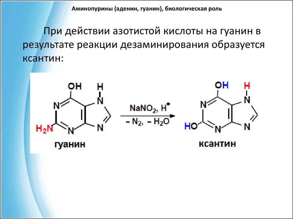 Дезаминирование цитозина и гуанина под действием азотистой кислоты. Гуанин hno2. Гуанин с азотистой кислотой. Реакции дезаминирования азотистых оснований. В результате какого основания