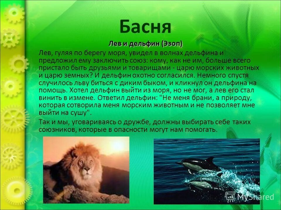 басня эзопа львы боролись. иллюстрации к басням эзопа. лев и дельфин эзоп. басни эзопа для 3 класса. басня эзопа лев и вепрь.