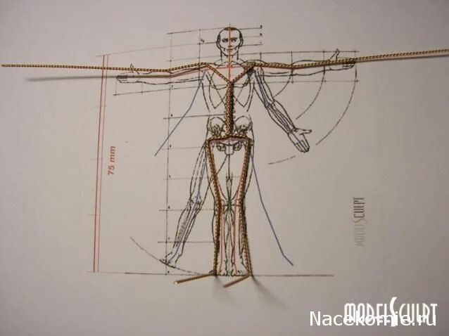 Проволочный каркас для фигурки. Рисование голов. Анатомия человека рисунок. Рисование головы. Проволочный каркас для лошади.