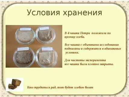 Сколько хранится масляная