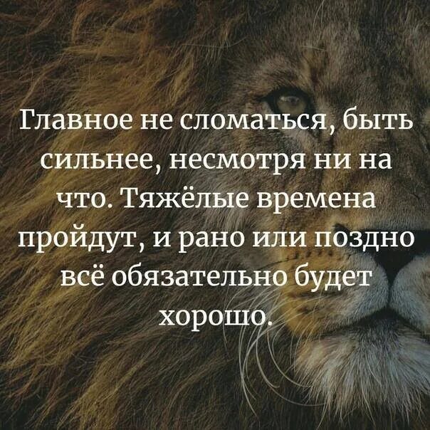 Событие тяжелые времена. Главное не сломаться быть сильнее. Сейчас главное не сломаться. Главное не сломаться цитаты. Главное не сломаться быть сильнее несмотря ни на что.