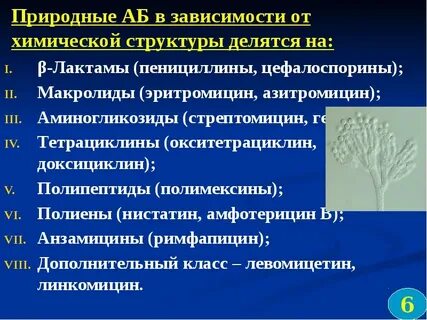 Антибиотики аминогликозиды макролиды тетрациклины