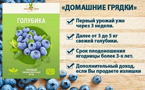 Какие витамины есть в голубике
