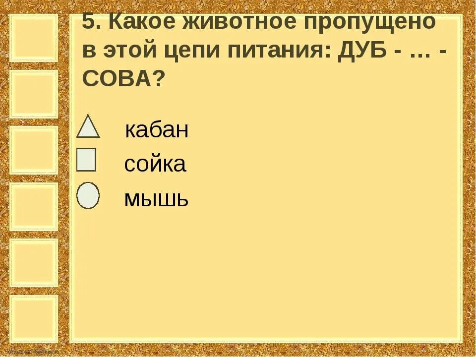 Цепь питания дуб мышь. Дуб сова сойка цепь питания. дуб сойка сова цепь. цепь питания дуб мышь сова или дуб сойка сова.