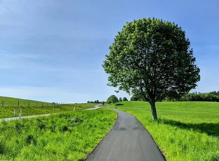 Bike path