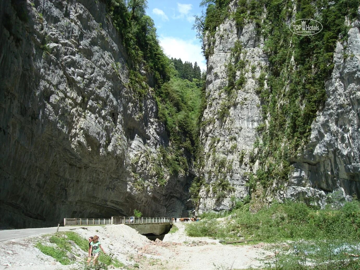 отель домик в ущелье абхазия. домик в ущелье гагра абхазия. ала арча киргизия альплагерь. гагрипшское ущелье гагра. дигорское ущелье tana park.