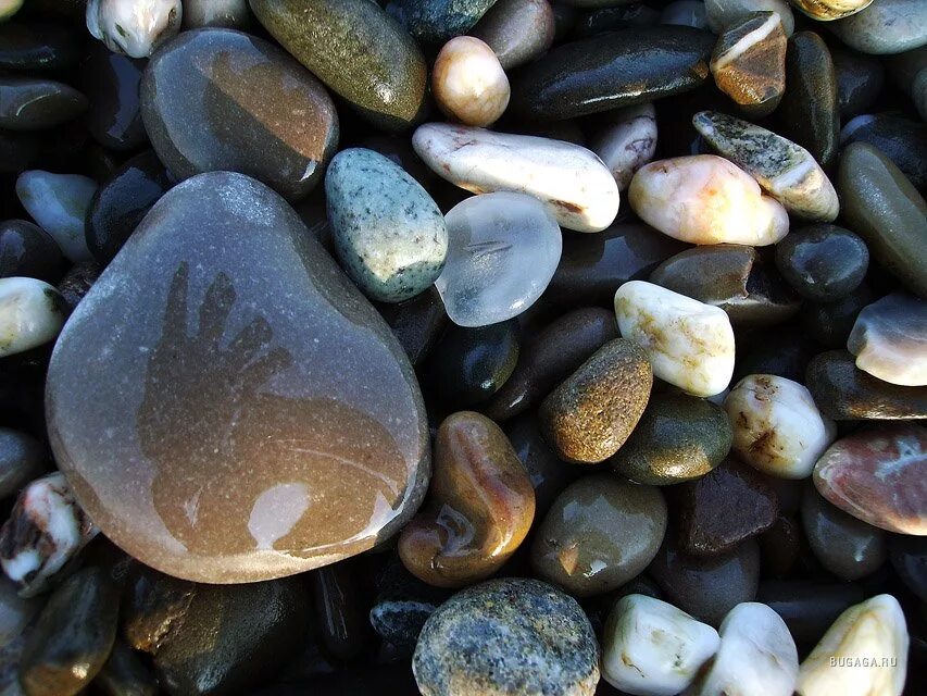 Подводные камни купить. Галька Черноморская. Камни морская галька. Красивые камушки. Речные камушки.
