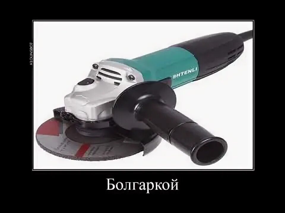 Умоляю распили меня болгаркой мем. Шутка для болгарки. Умоляю распили меня болгаркой. Тюлень распили меня болгвркрц. Тюлень мем распили меня.