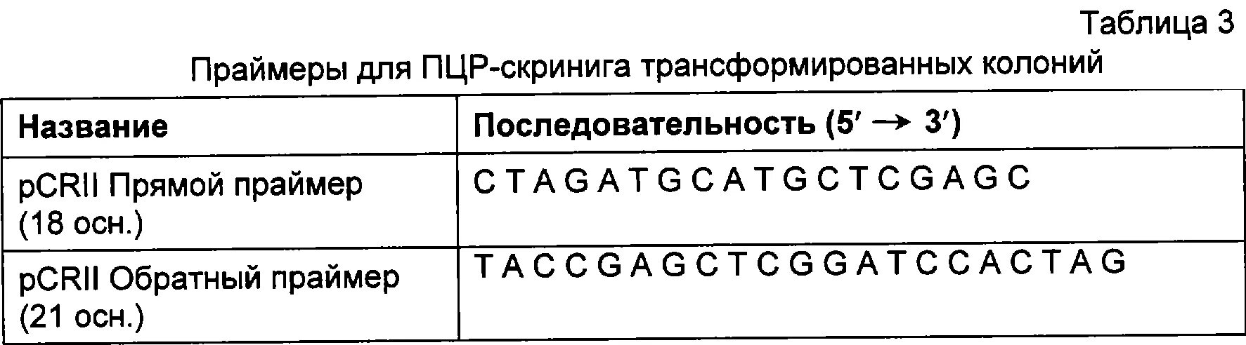 Обратный праймер. Прямой праймер и обратный праймер. Обратный праймер ПЦР. Прямой и обратный Праймеры в ПЦР. Прямой и обратный праймер в ПЦР.
