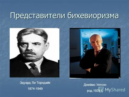 Представители бихевиоризма
