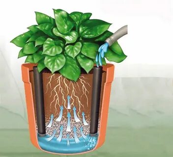 The plant keep