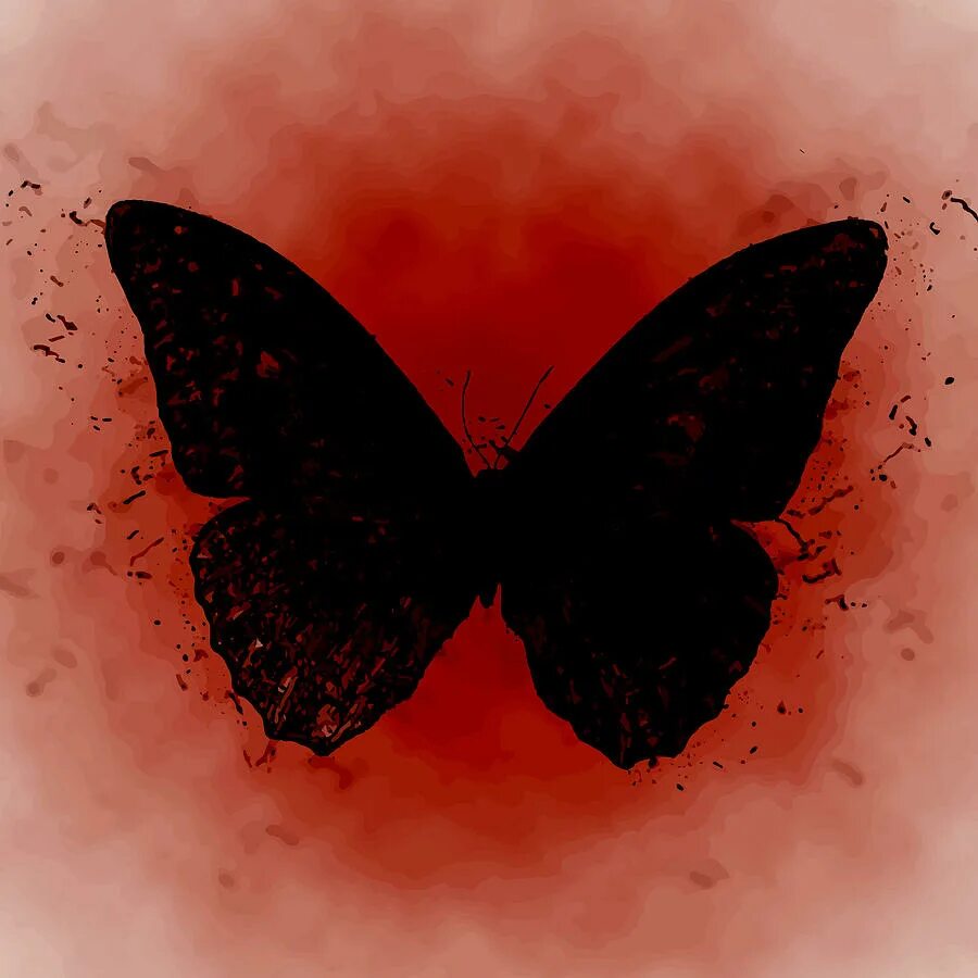 @bada_butterfly. Аватарка бабочка. Billie b brown. Фото весны с бабочками. Bad kind of butterflies фанфик.