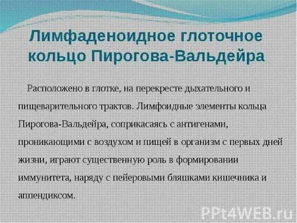 Пирогово кольцо