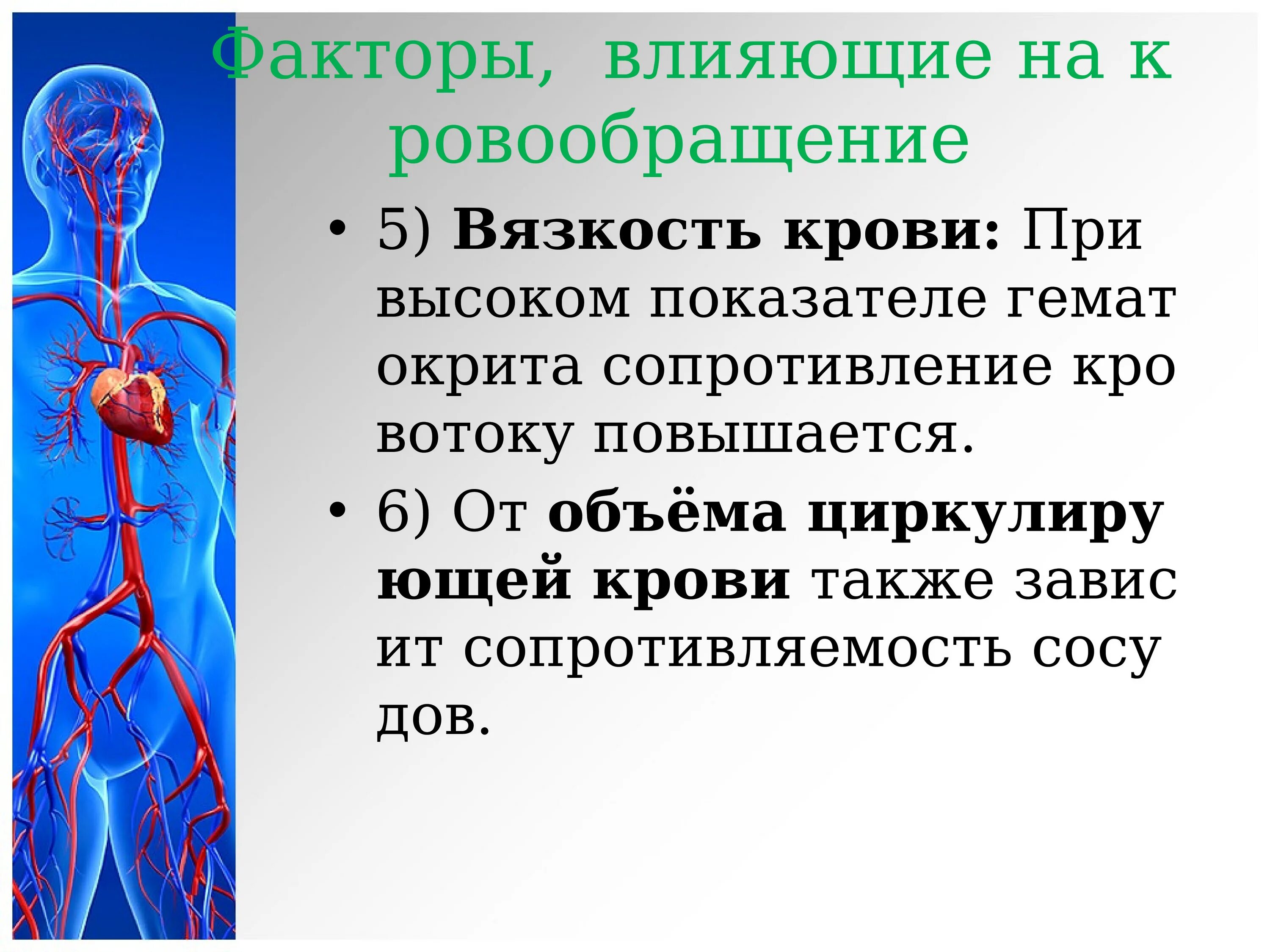 Какие факторы влияют на сердечно сосудистую систему. Факторы влияющие на кровообращение. сердечно-сосудистая система человека презентация. сердечно сосудистая система презентация. презентация по сердечно сосудистой системе.