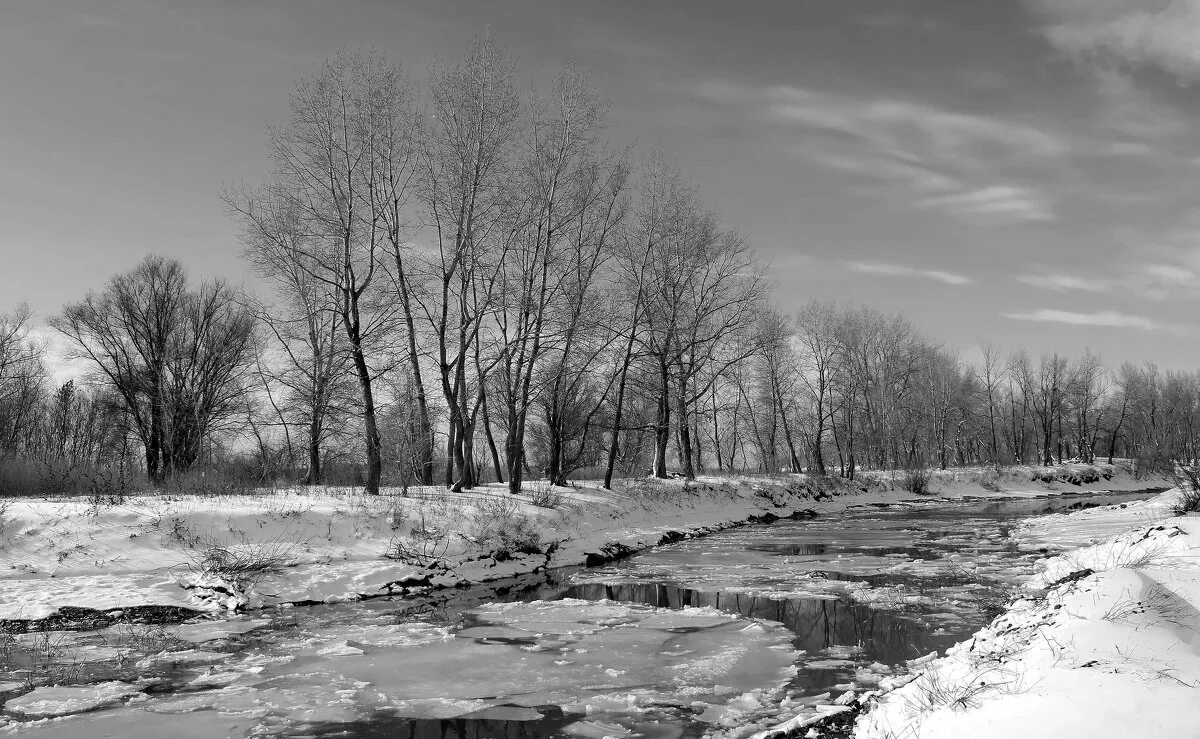 пасмурный март. ранняя зима. пасмурный март. пасмурный день. пасмурный день весной.