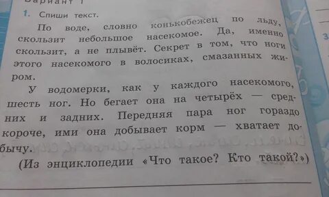 Спиши текст подчеркни однокоренные слова