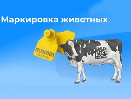 Обязательная маркировка животных