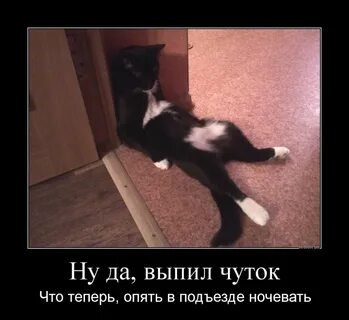 Кот тяжело