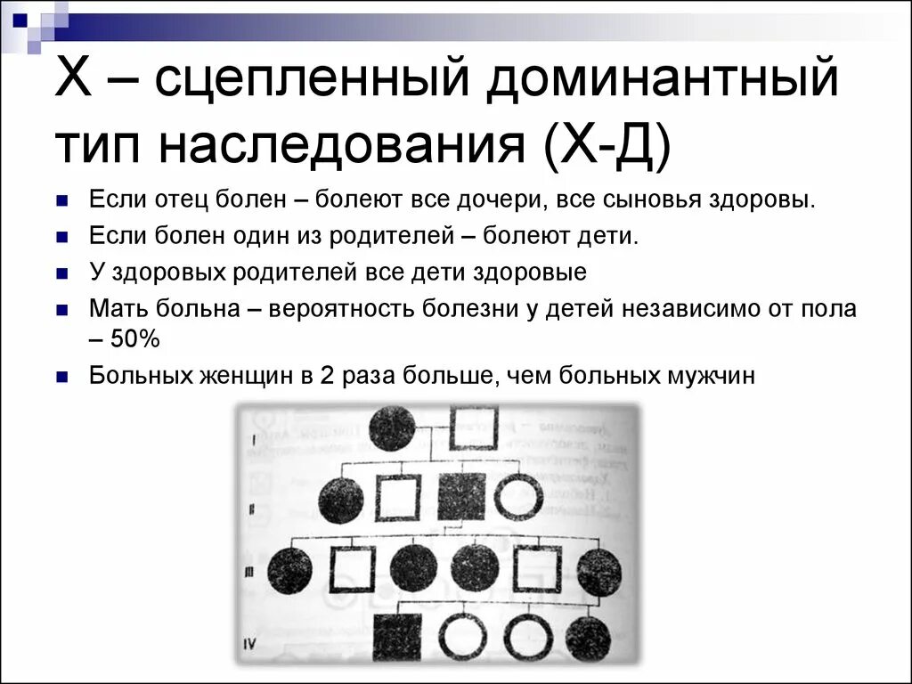 Сцепленный с х-хромосомой доминантный Тип наследования схема. Характеристика х сцепленного доминантного типа наследования. Х сцепленный рецессивный Тип наследования родословная. Родословная с х-сцепленным доминантным типом наследования.