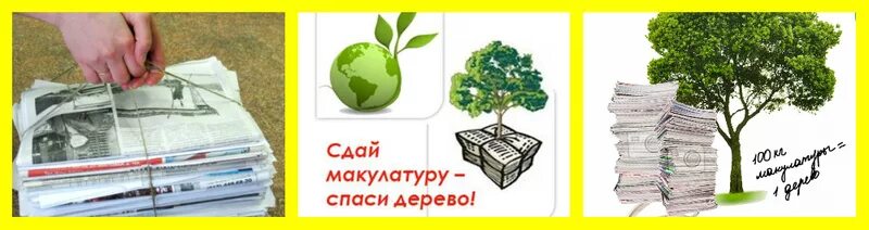 Сохраним дерево макулатура. Сбор макулатуры. Собери макулатуру сохрани дерево. Акция по сбору макулатуры. Акция Собери макулатуру сохрани дерево.