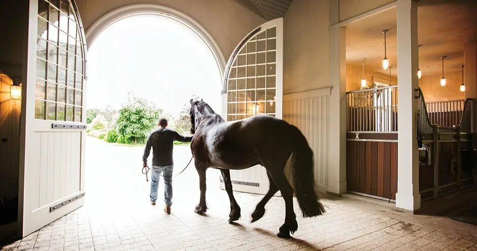 Крекшино конюшня. Янсон конюшня. Конюшня Solana stables. Лошадь в конюшне. Работа на конюшне