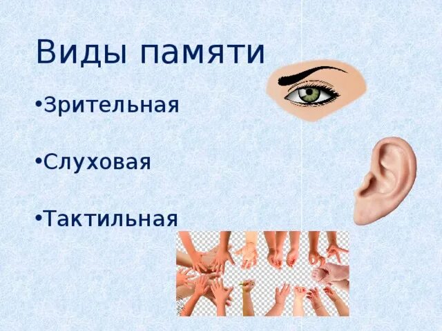 Зрительную слуховую осязательную