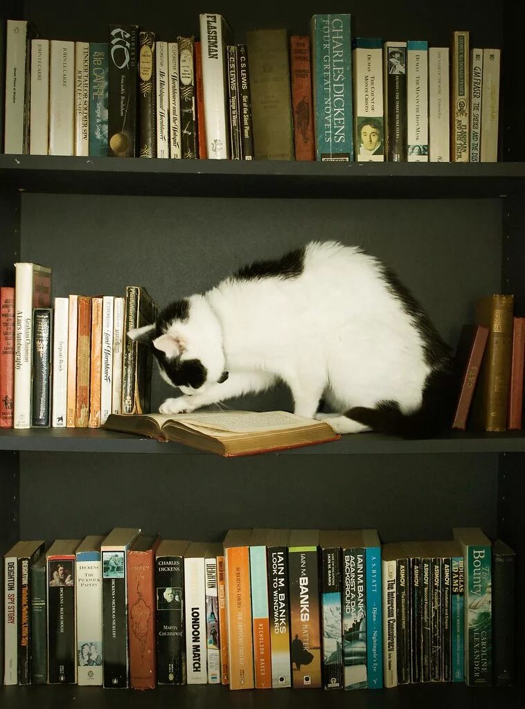He really reading
